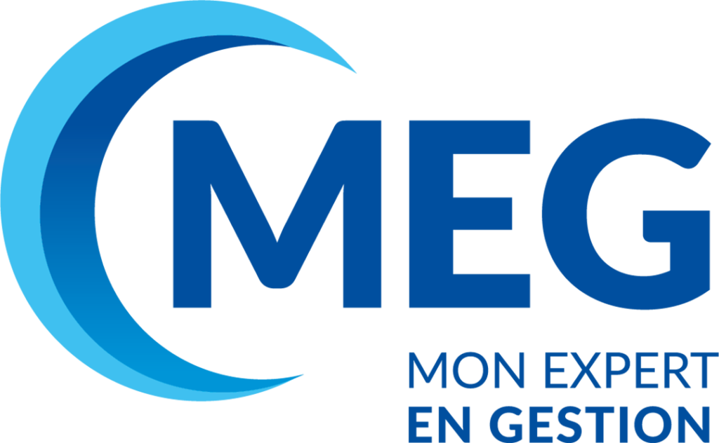 lmk - MEG logo